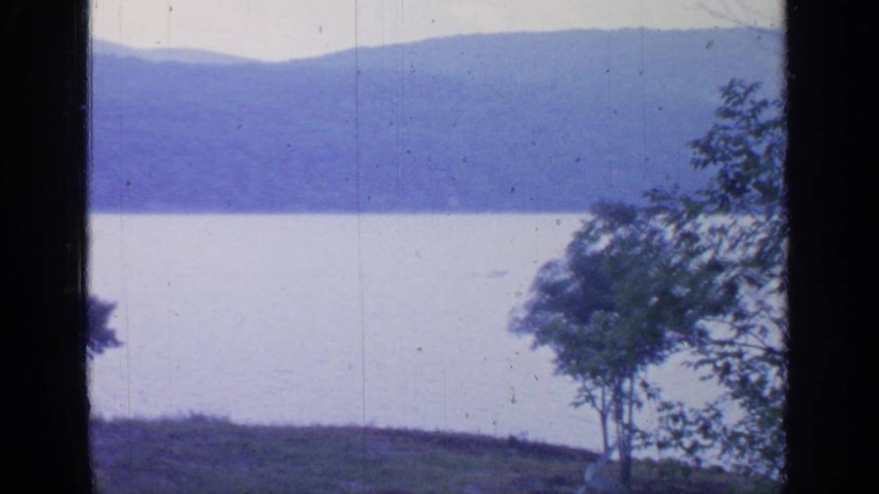 Lake and distant mountains seen past trees with dark vertical frame edges.