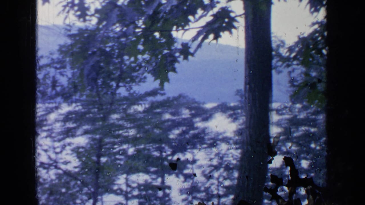 Greenwood Lake, New York, seen through dark vertical framing with layered trees, pale water, and distant wooded hills.