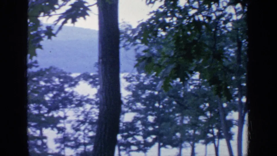 A sheltered 1964 home-movie view across Greenwood Lake, with a tree trunk, leaves, shoreline trees, and distant hill visible.
