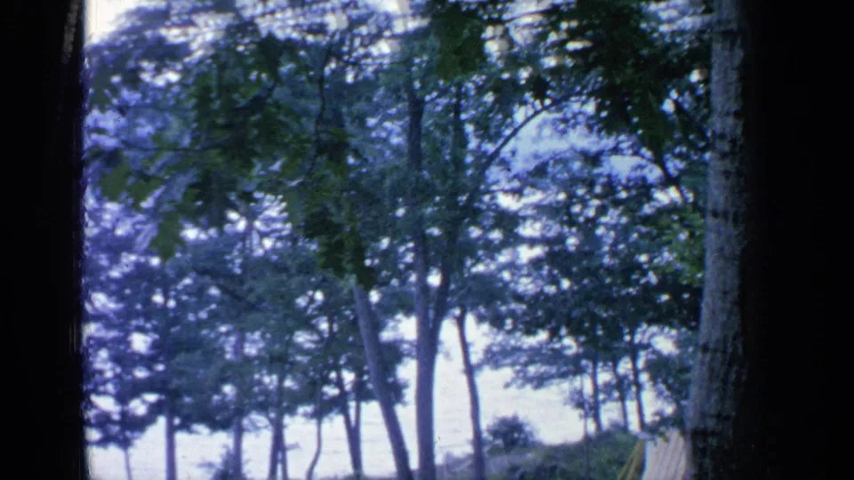 End of the Greenwood Lake pan showing dense foreground trees, bright water, and a distant wooded hillside through dark framing.