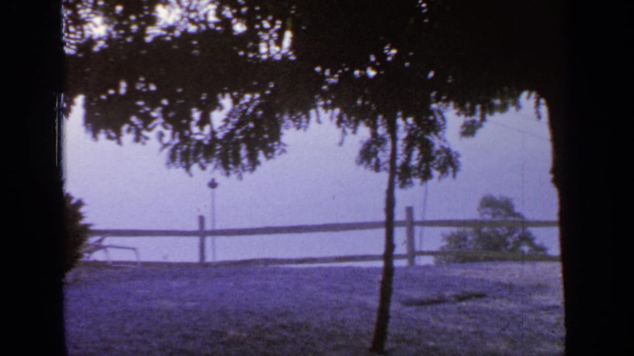 Trees, wooden fence, open yard, and pale lake water behind dark film edges.