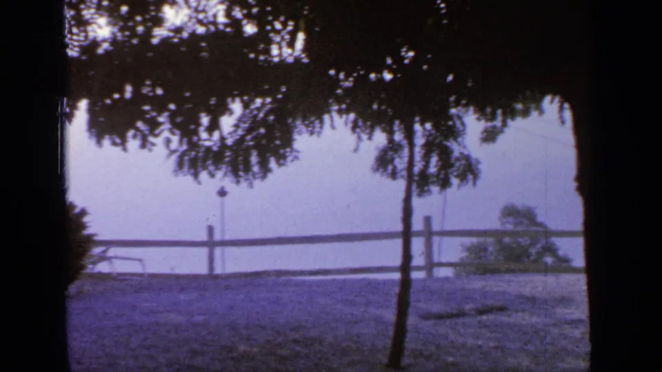Greenwood Lake yard view with tree silhouettes, a simple wooden fence, open ground, and lake water beyond.