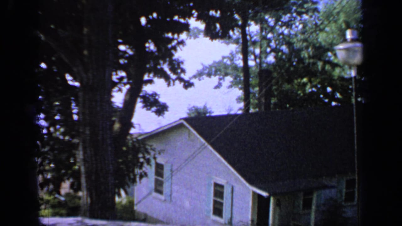 Light-colored house partly shaded by large trees with a yard and lamp post nearby.