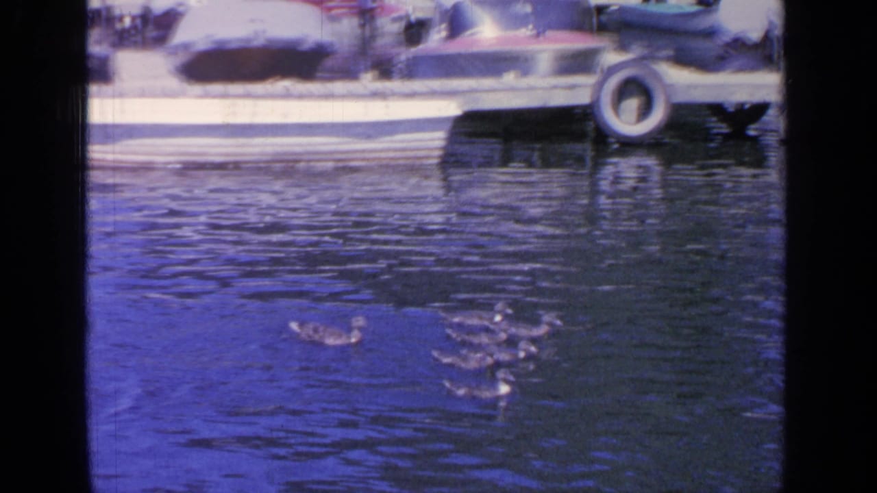 Ducks swim across rippled lake water near moored small boats and a dock.
