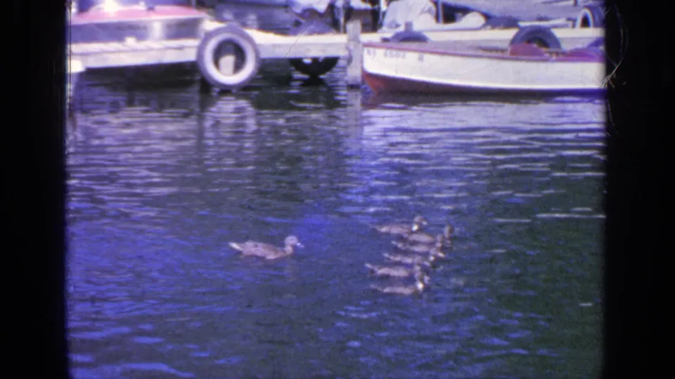 The 1964 Greenwood Lake footage shows a duck leading ducklings across rippled water beneath a small boat tied at the dock.