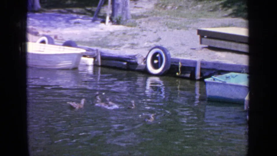 Ducks swim on Greenwood Lake near a wooden dock, white rowboat, green boat, and tire bumpers in 1964 8mm footage.