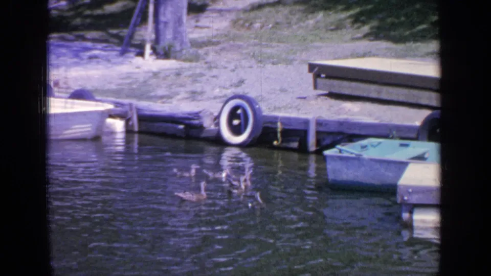 1964 Greenwood Lake 8mm frame showing ducks on the water beside a dock, a white boat, a green rowboat, and a hanging tire bumper.