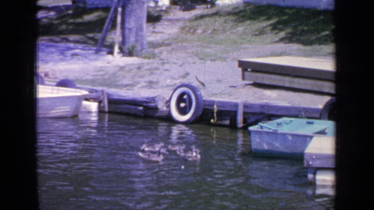 1964 Greenwood Lake frame with ducks splashing near the dock, a white boat at left, a green rowboat at right, and a tire bumper on the shore side.