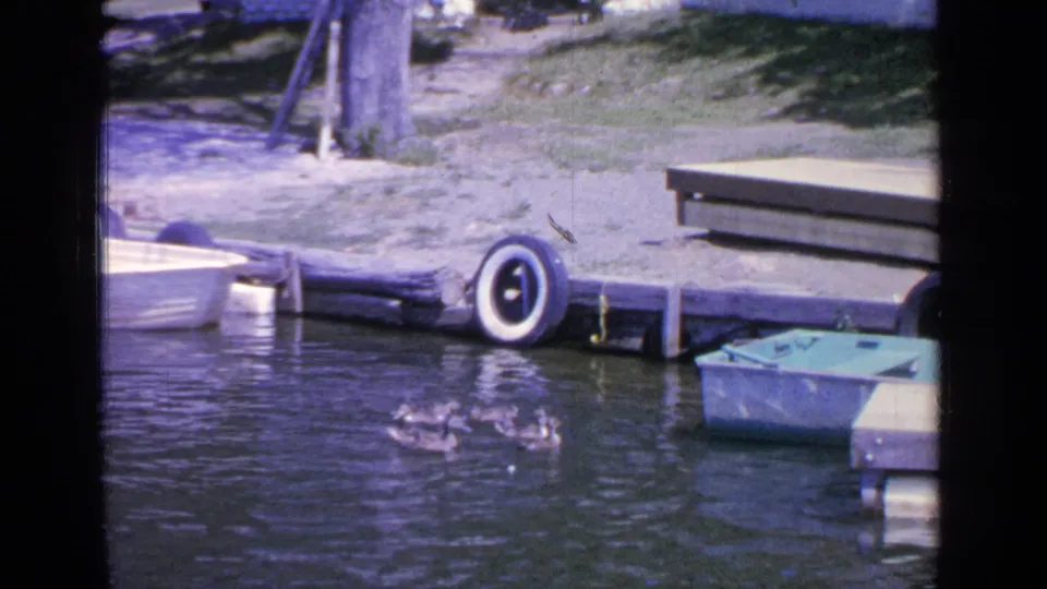 1964 Greenwood Lake frame with ducks splashing near the dock, a white boat at left, a green rowboat at right, and a tire bumper on the shore side.