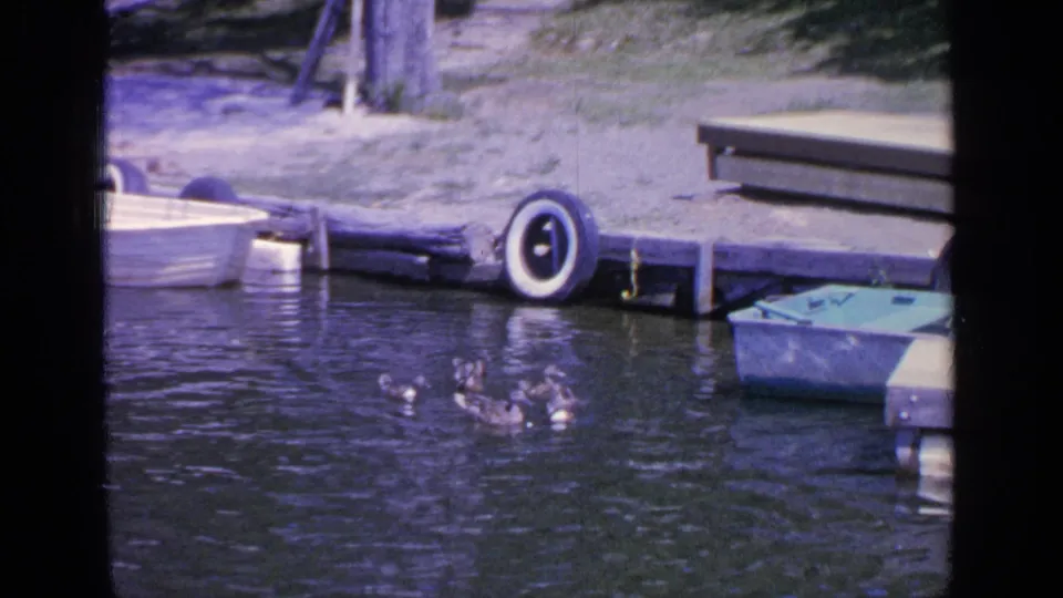 1964 Greenwood Lake 8mm frame showing ducks in the foreground water with the dock, tire bumper, white boat, green rowboat, and shore behind them.
