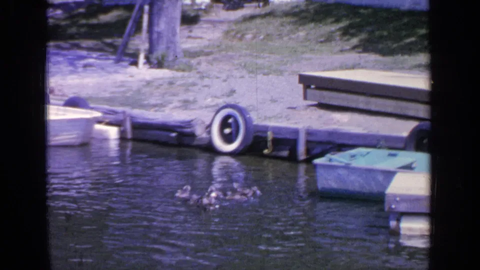 1964 Greenwood Lake frame showing ducks near the bottom of the water view, with a wooden dock, tire bumper, small boats, tree, and shore in the background.