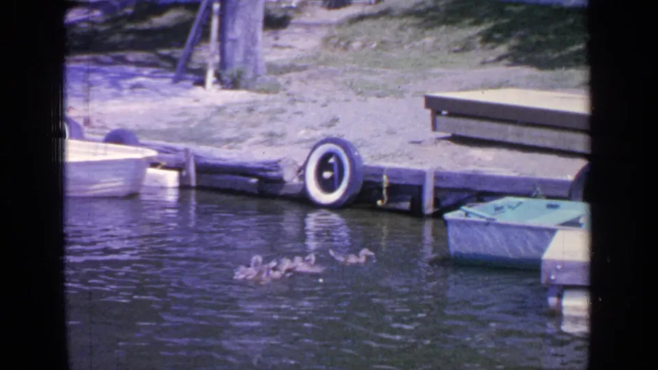 At Greenwood Lake in 1964, ducks move across the water near a dock, tire bumper, and small moored boats.