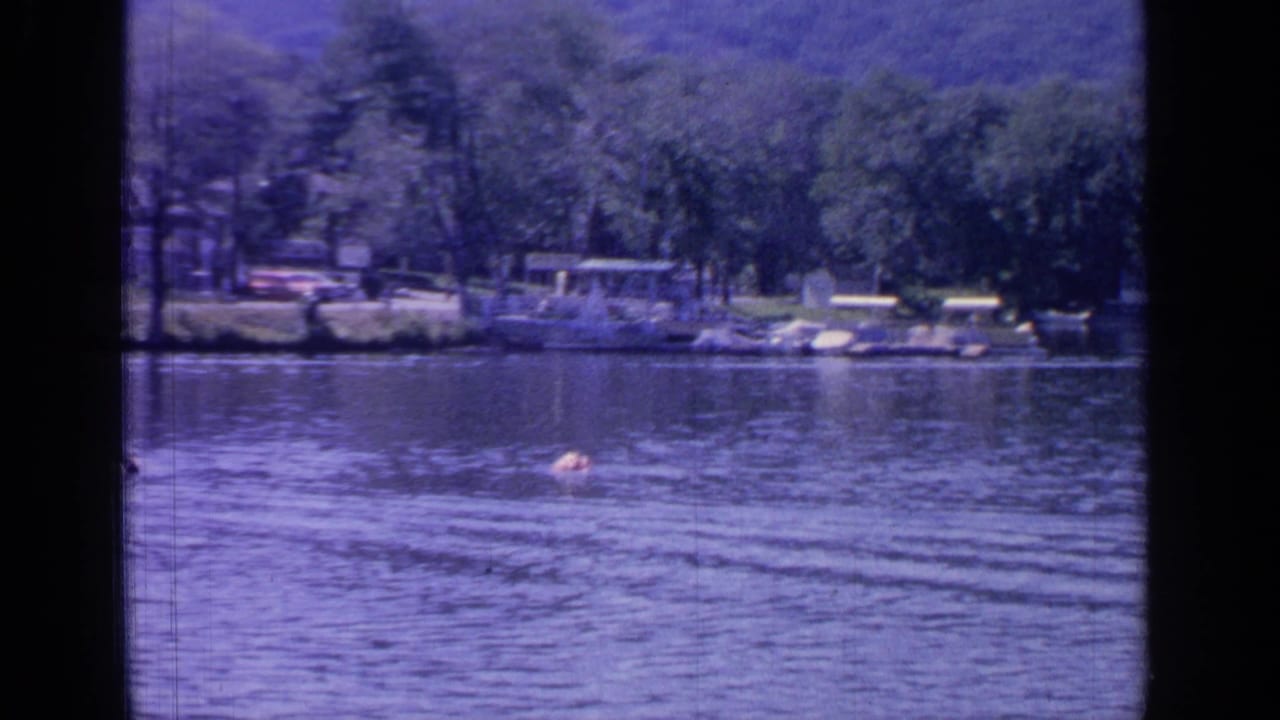 Open lake with swimmers, rippled water, shoreline trees, docks, and houses beyond.
