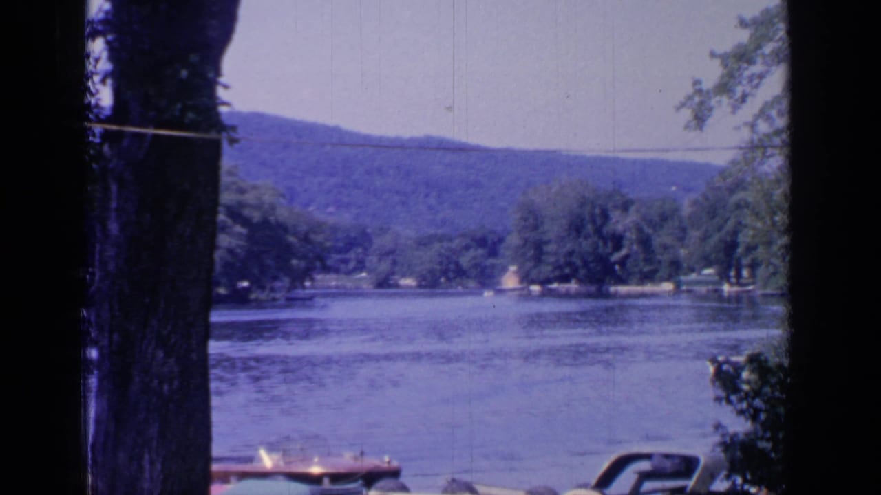 Lake view framed by dark tree trunks with boats and a dock along the near shore.
