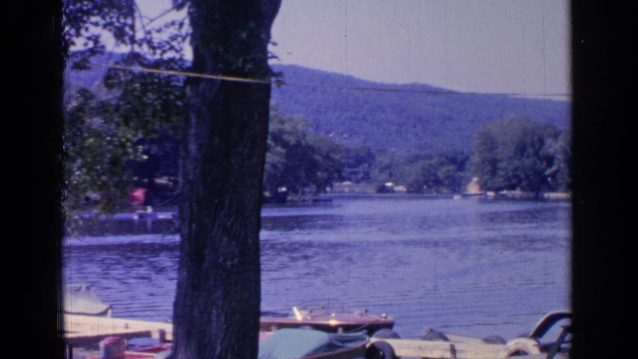 Lakeside dock and moored boats seen through trees, with hills across the water.
