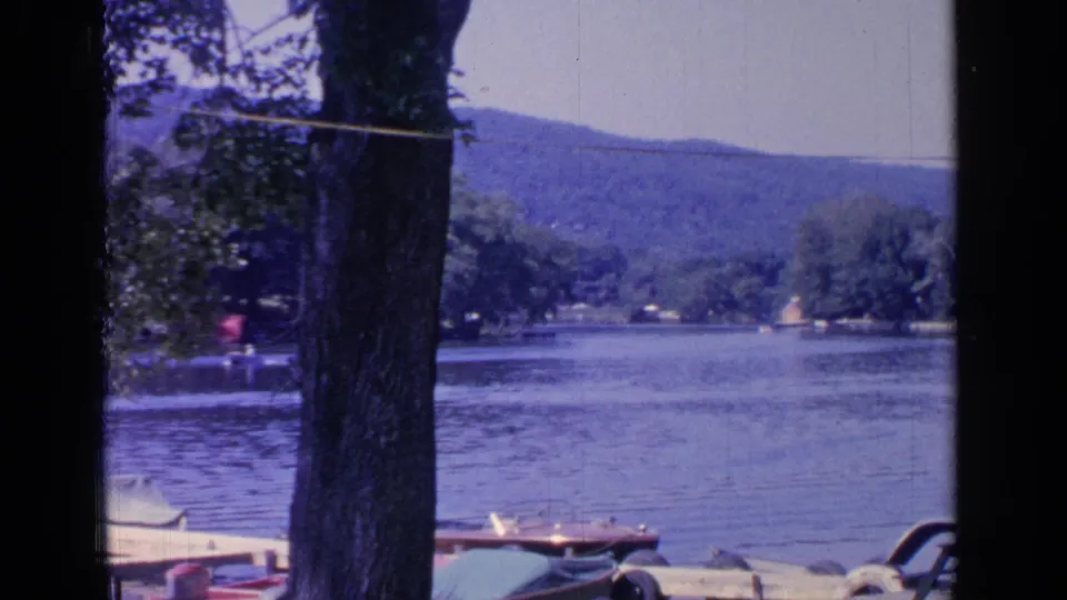 Greenwood Lake shoreline in 1964 with tree trunks in the foreground, covered boats at a dock, and wooded hills across the lake.