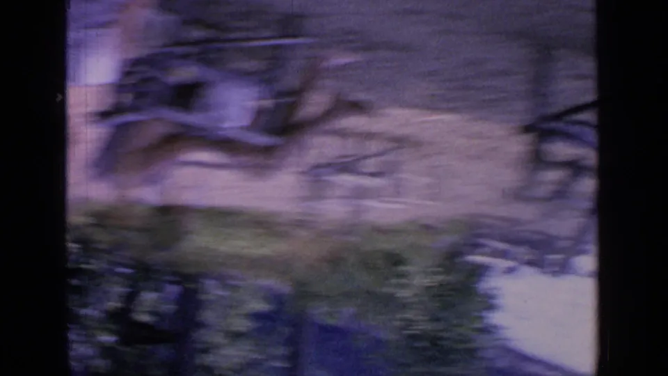 Handheld 8mm frame from the Greenwood Lake clip, blurred by camera motion as it passes trees, water reflections, and shoreline structures.