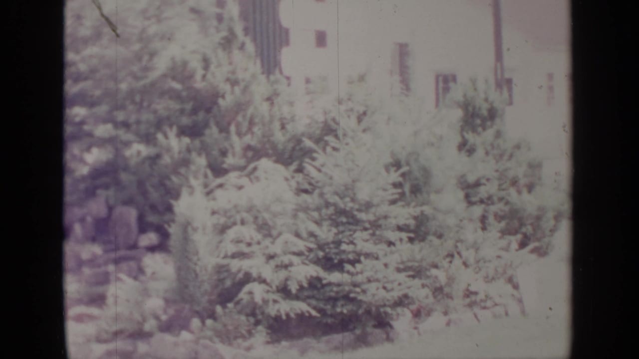 Greenwood Lake 1964 home-movie frame showing a residential garden with shrubs, rocks, and a partial house facade.