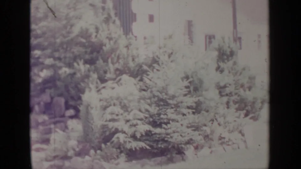 Greenwood Lake 1964 home-movie frame showing a residential garden with shrubs, rocks, and a partial house facade.
