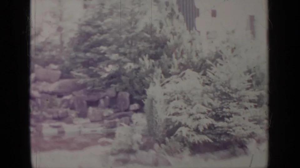 Greenwood Lake 1964 frame showing landscaped shrubs, stones, and a small garden water feature or wet area.