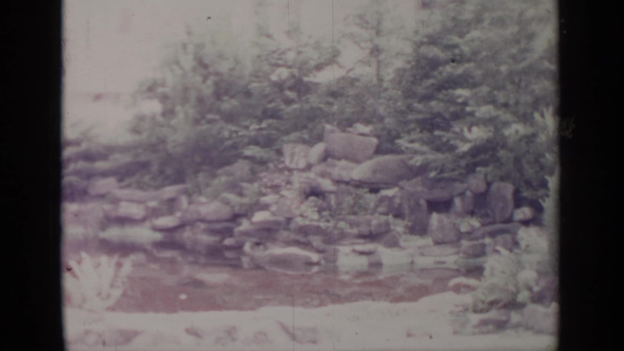 Garden pond with stacked rocks and shrubs on faded 8mm film.