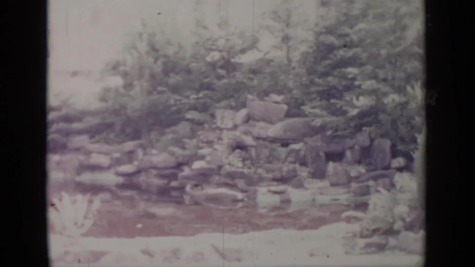 1964 Greenwood Lake home-movie frame showing a small garden pond, rock feature, and surrounding greenery.