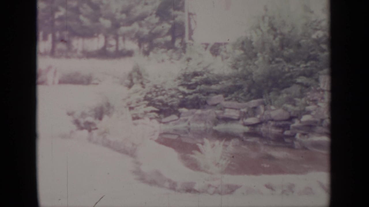 Snowy yard with pond, shrubs, trees, and nearby houses.
