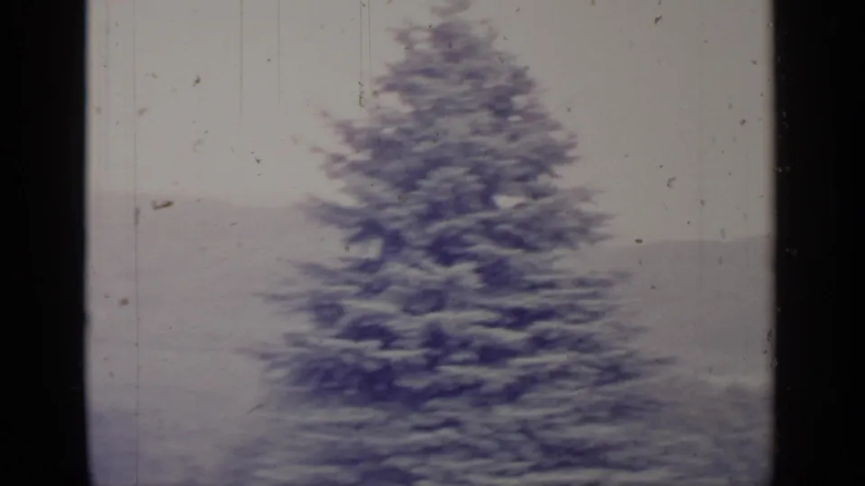 Soft, motion-blurred 1964 Greenwood Lake home-movie frame centered on an evergreen tree against a pale distant background.