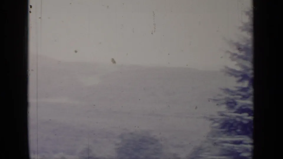1964 8mm view near Greenwood Lake, New York, showing a snow-covered pine tree against distant hazy hills.