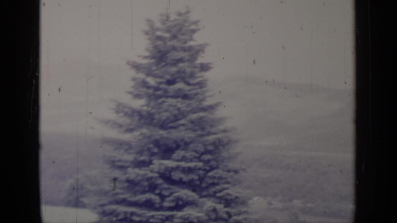A tall evergreen dusted with snow stands before a soft, overcast Greenwood Lake winter landscape.