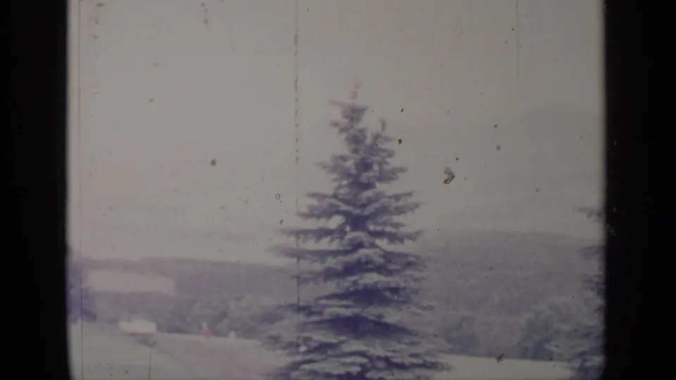 Greenwood Lake area winter view with a snow-covered evergreen, hazy hills, and visible 8mm film wear.