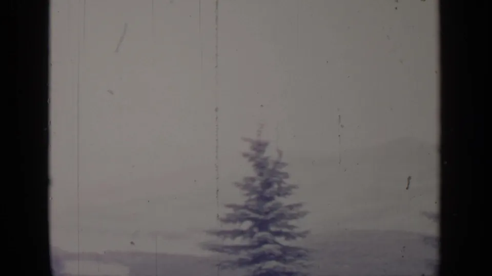 A snow-covered evergreen sits low in frame beneath a muted, hazy Greenwood Lake winter horizon.