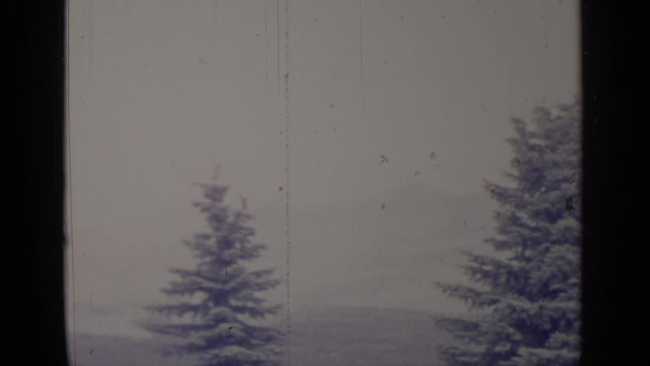 Snow-dusted evergreen tops against a pale misty mountain ridge.