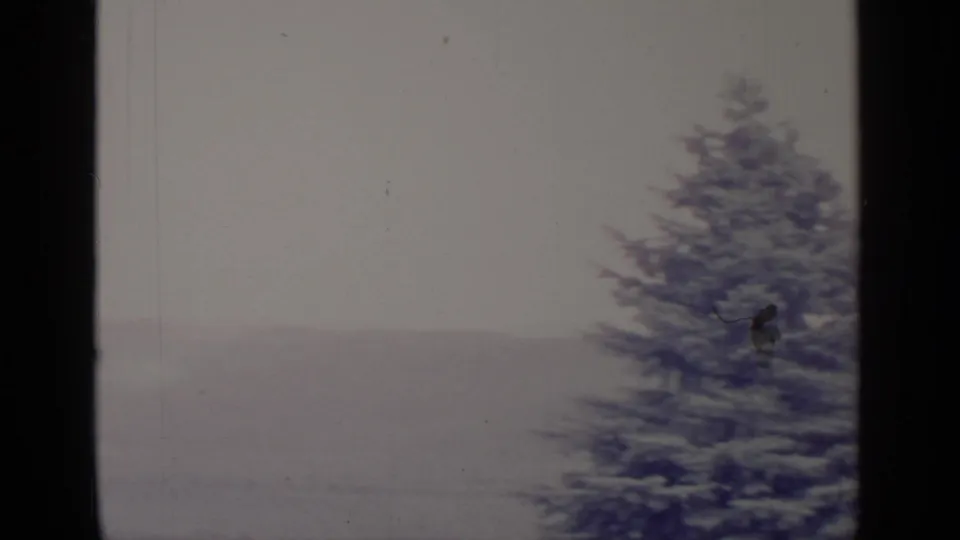 1964 8mm frame from Greenwood Lake with a large evergreen, muted winter hills, visible dust, and soft home-movie exposure.