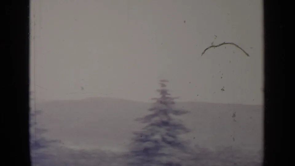 End frame of the Greenwood Lake pan with a lone evergreen top, foggy ridgeline, pale sky, dust marks, and dark 8mm frame edge.