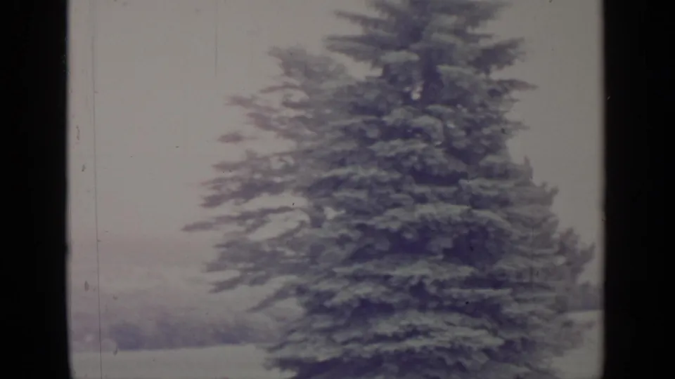 Greenwood Lake winter home-movie frame centered on a large snowy evergreen with hazy hills behind it.