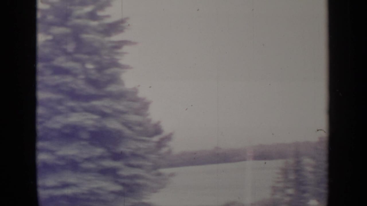 Snowy trees and a pale lake seen through dark vertical framing.