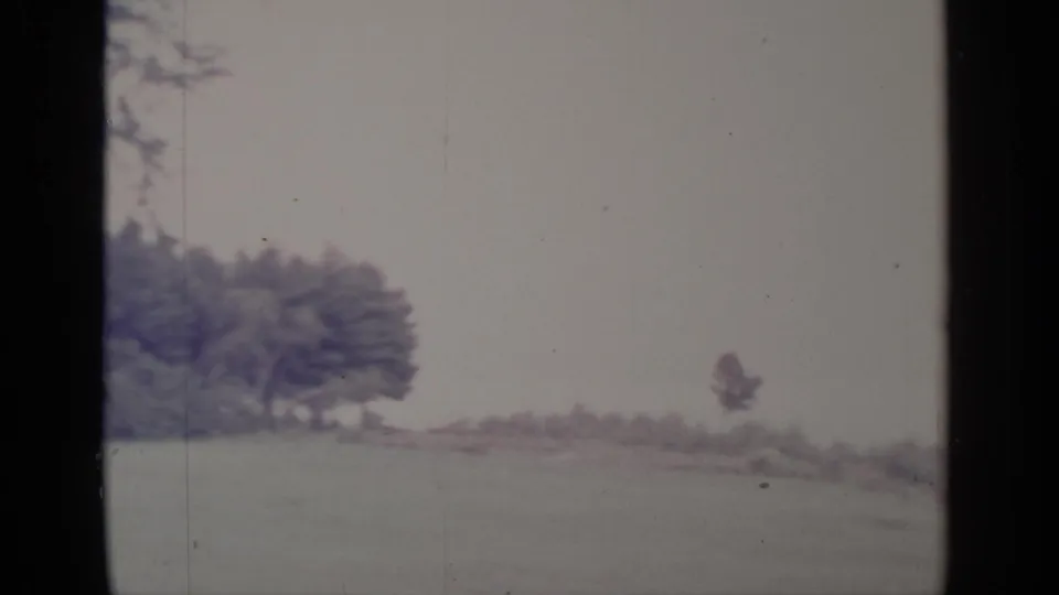 1964 Greenwood Lake footage shows an open snow-covered lakeside area, clustered trees, a bare tree, and a pale overcast sky.