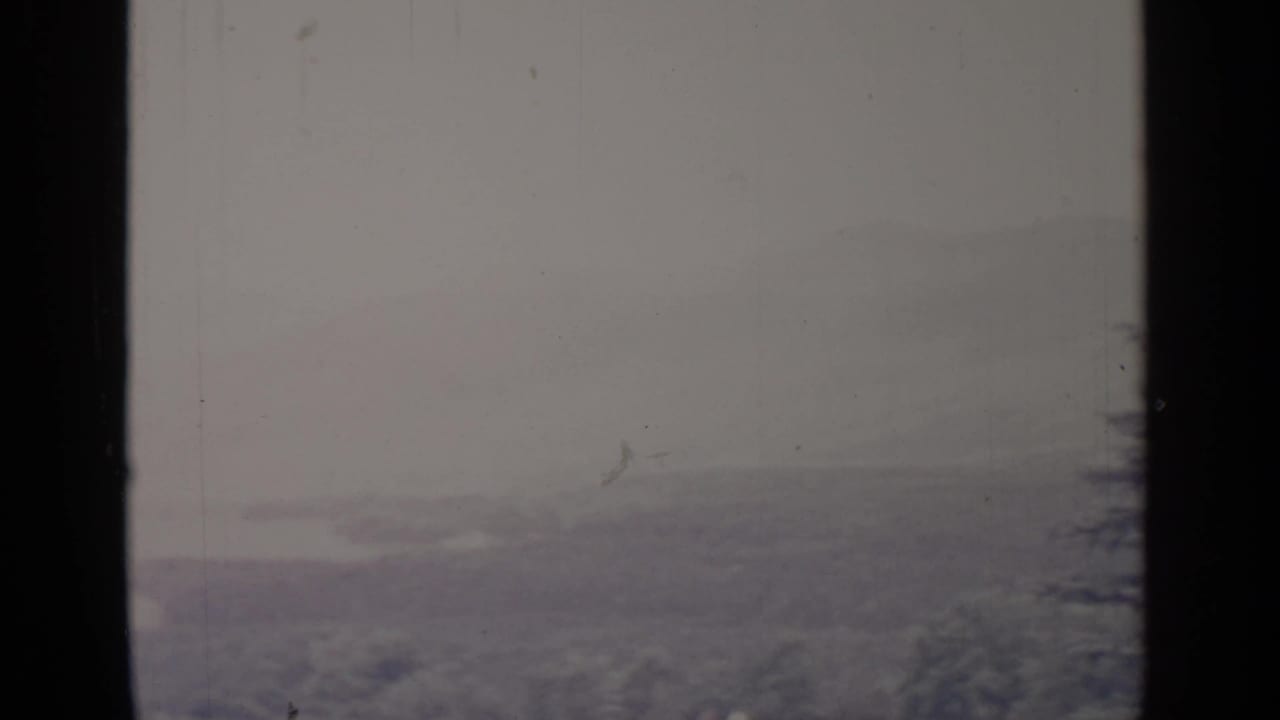 Snowy distant landscape seen through dark vertical framing with a soft evergreen at right.