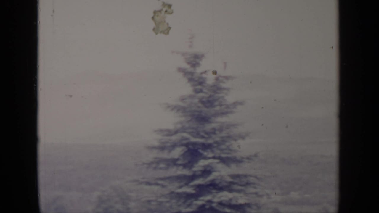 Greenwood Lake winter scenery with a snow-dusted evergreen, pale hills, and dark window or doorway framing in front.