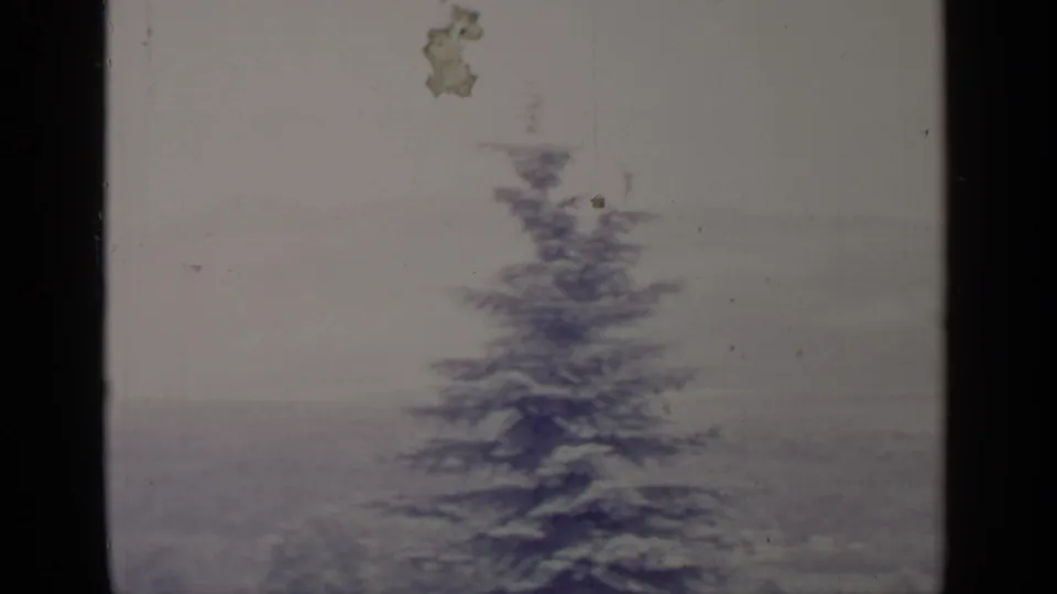 Greenwood Lake winter scenery with a snow-dusted evergreen, pale hills, and dark window or doorway framing in front.