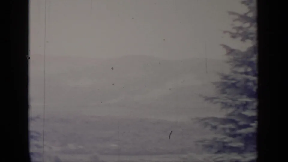 A soft 8mm winter view near Greenwood Lake shows dark foreground framing, snowy slopes, and evergreen branches under gray light.