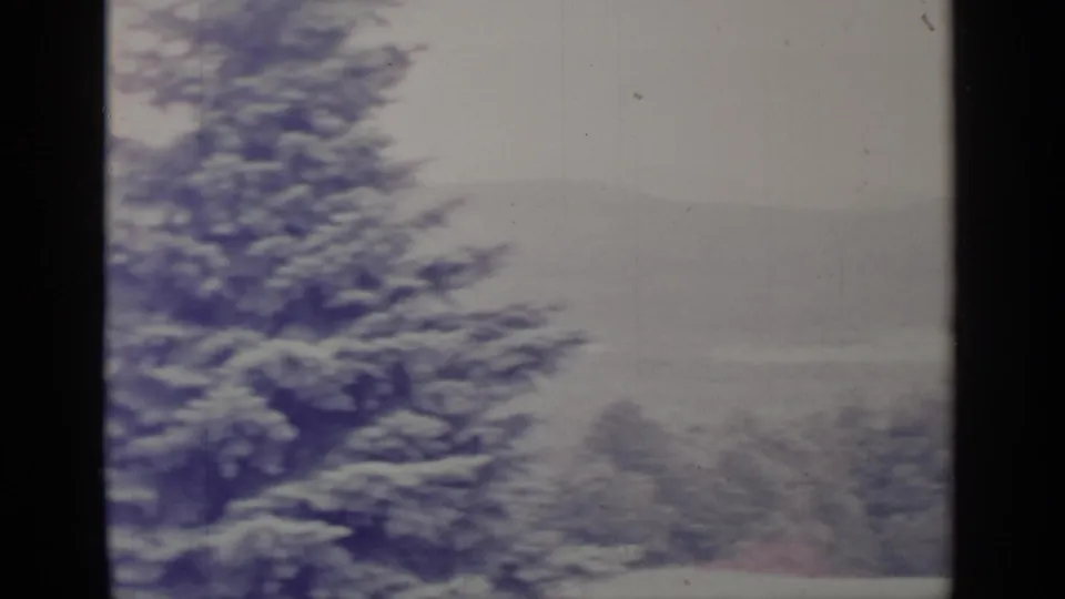 1964 Greenwood Lake winter scene with a prominent snow-covered evergreen, muted distant hills, and a hazy lake or valley beyond.