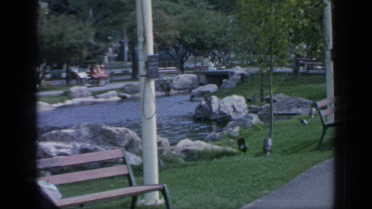 Park benches, pond, rocks, grass, and paths in a landscaped fairground.