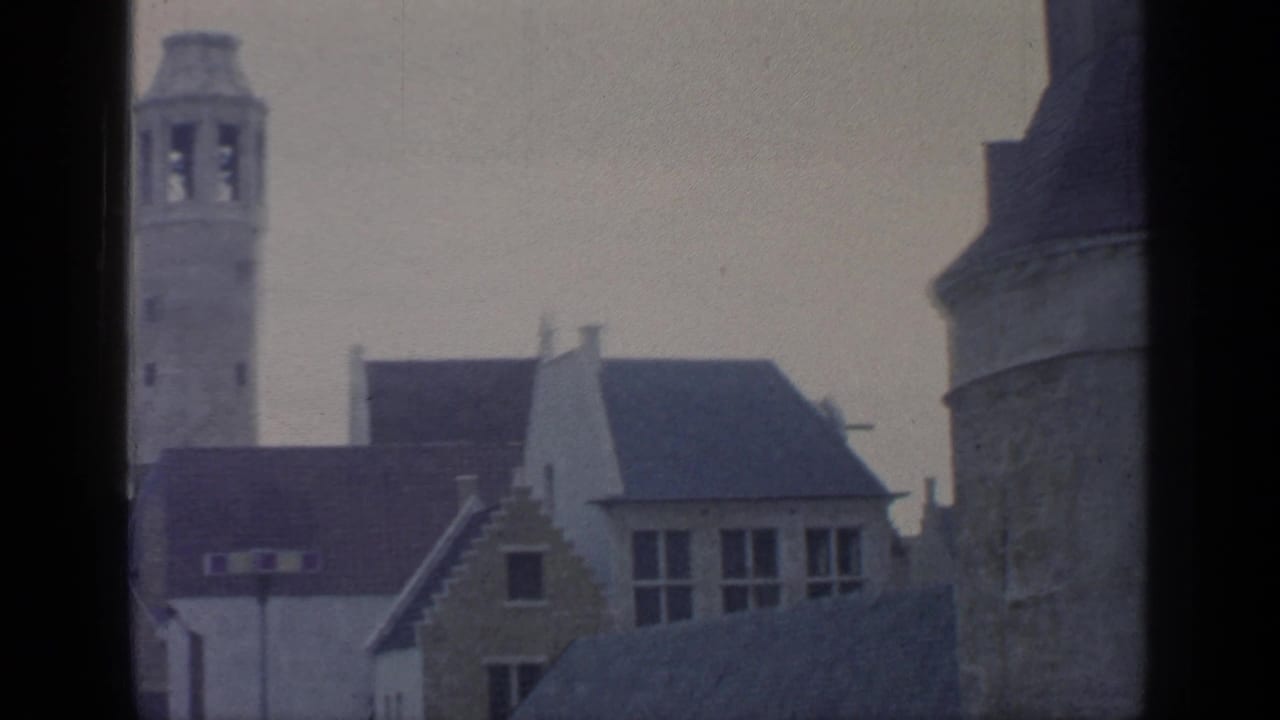 Belgian-style rooftops and tower seen beyond a vertical window divider.