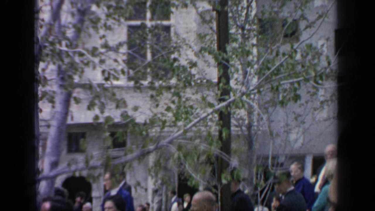Crowd partly obscured by trees and film gate edges near fairground buildings.