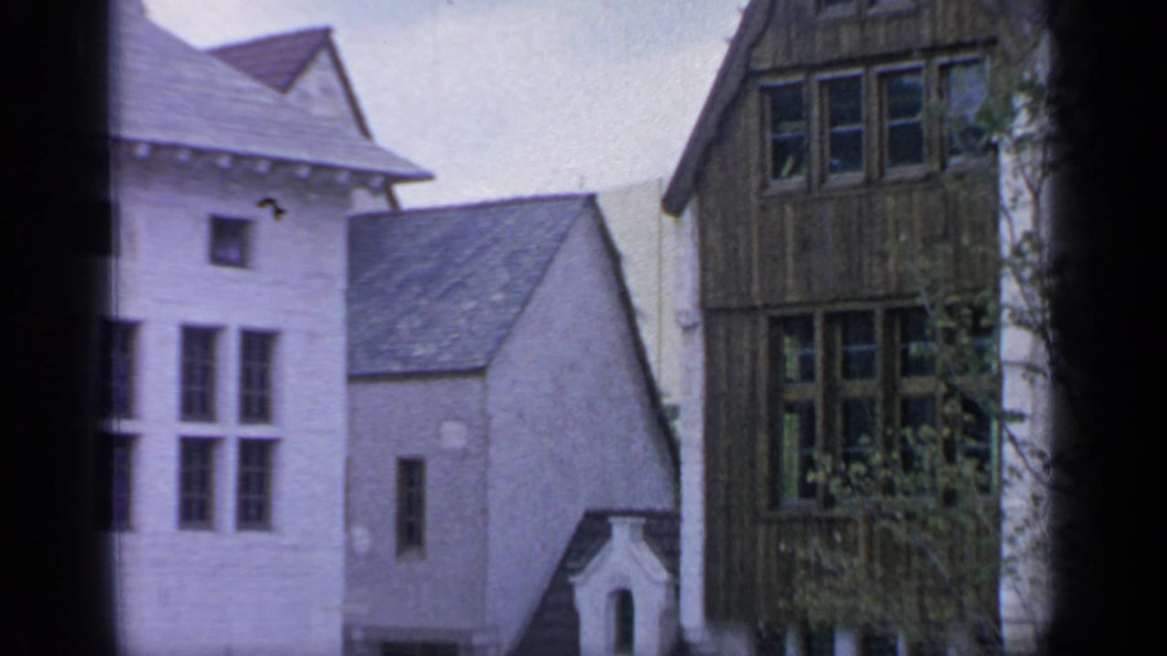 White and dark timbered buildings with windows, trees, and a narrow street below.