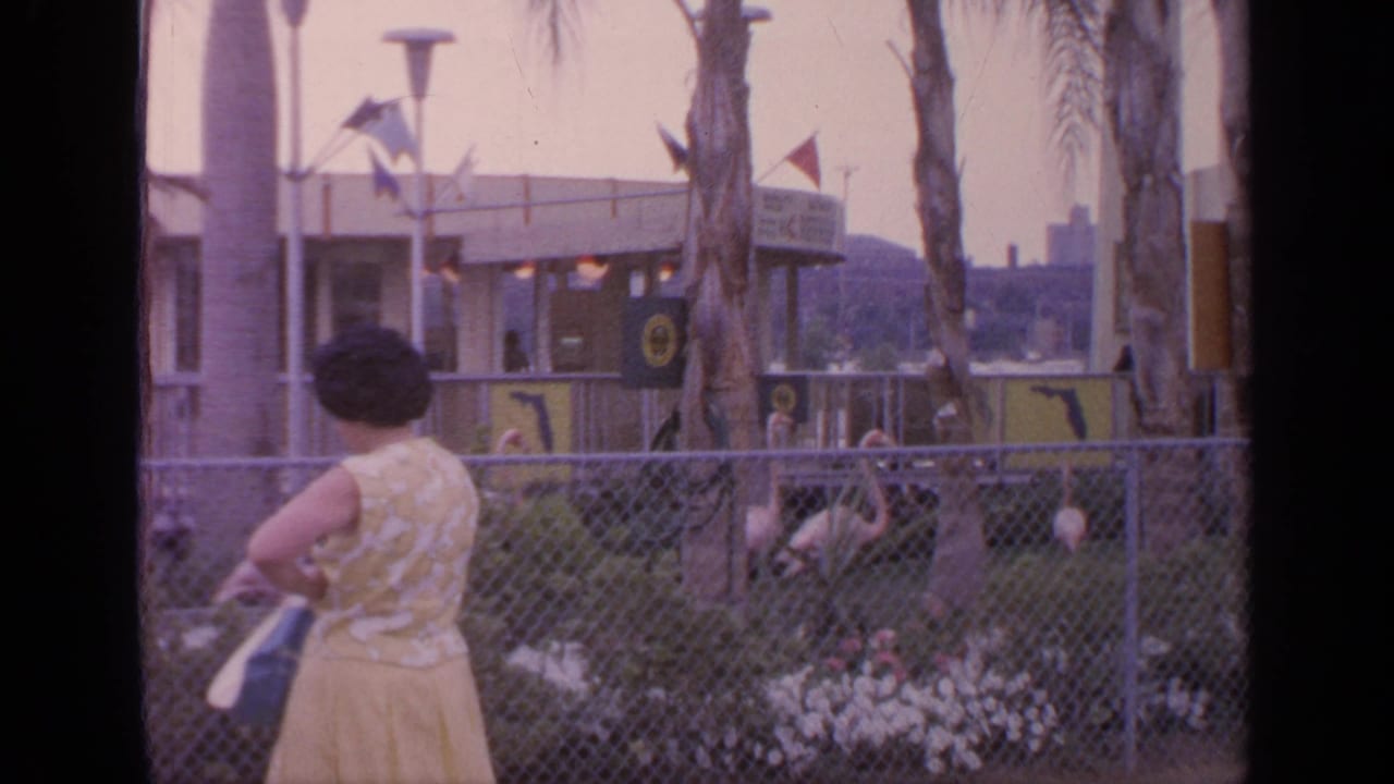 Woman in a yellow dress stands by a chain-link flamingo enclosure.