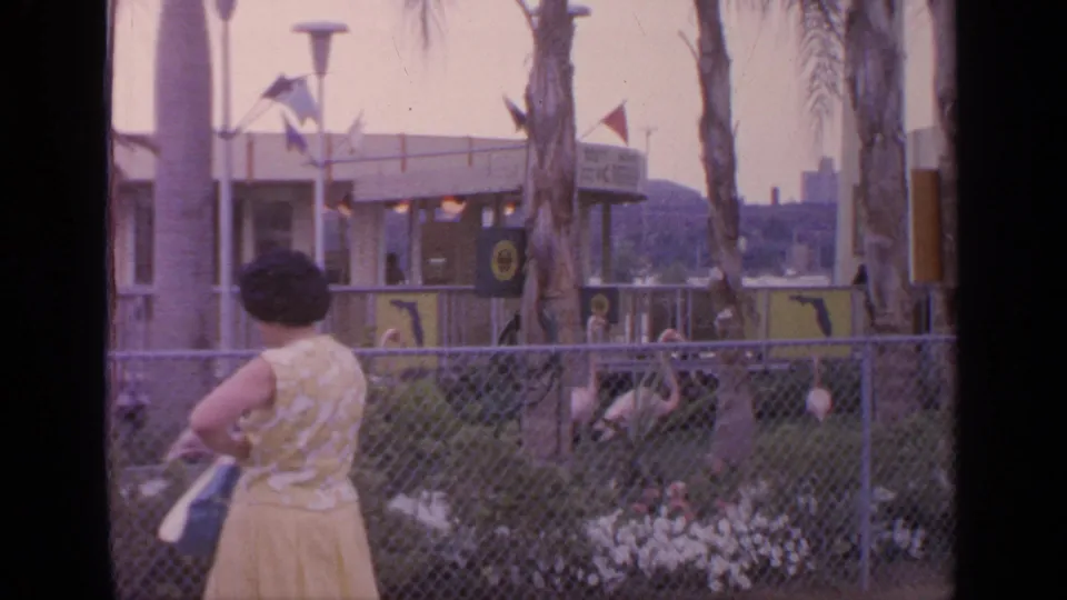 At Flushing Meadows in 1964, a woman in a yellow dress faces a fenced flamingo enclosure with flags and a modern building behind it.