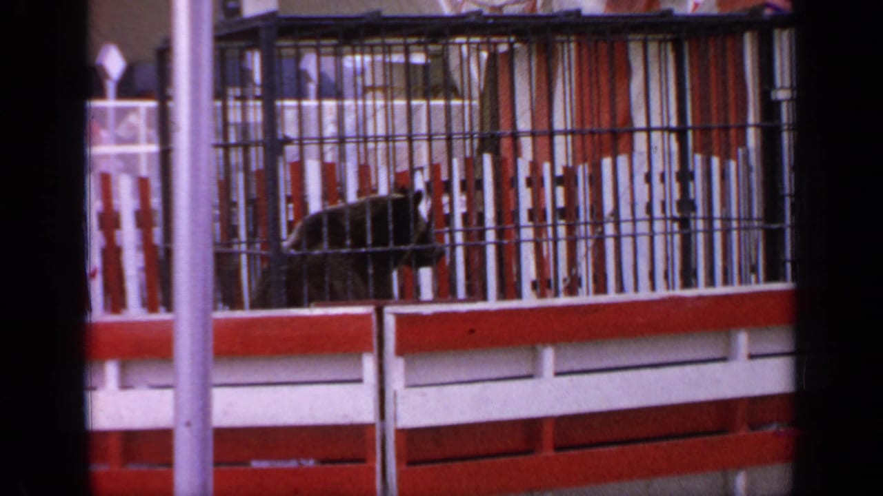 Leopard partly visible behind wire bars in a painted enclosure with red and white trim.